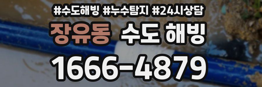 장유동 수도 해빙