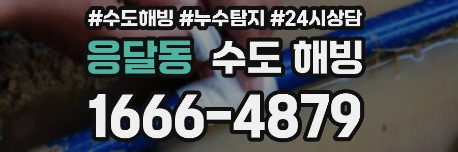 응달동 수도 해빙