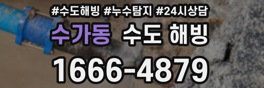수가동 수도 해빙