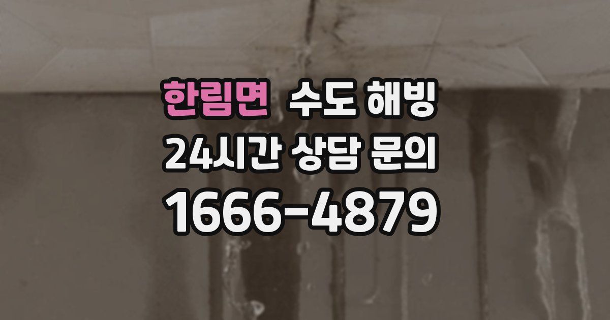 한림면 수도 해빙