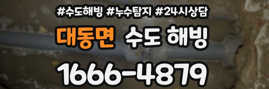 대동면 수도 해빙