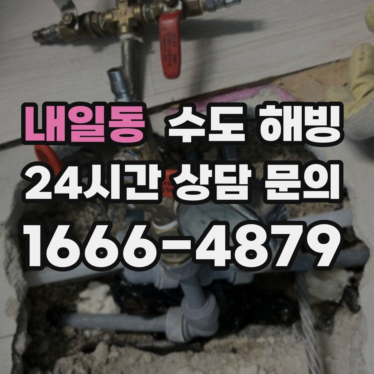 내일동 수도 해빙