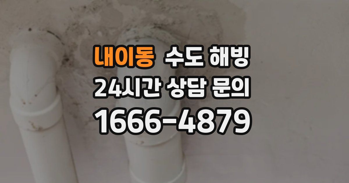 내이동 수도 해빙