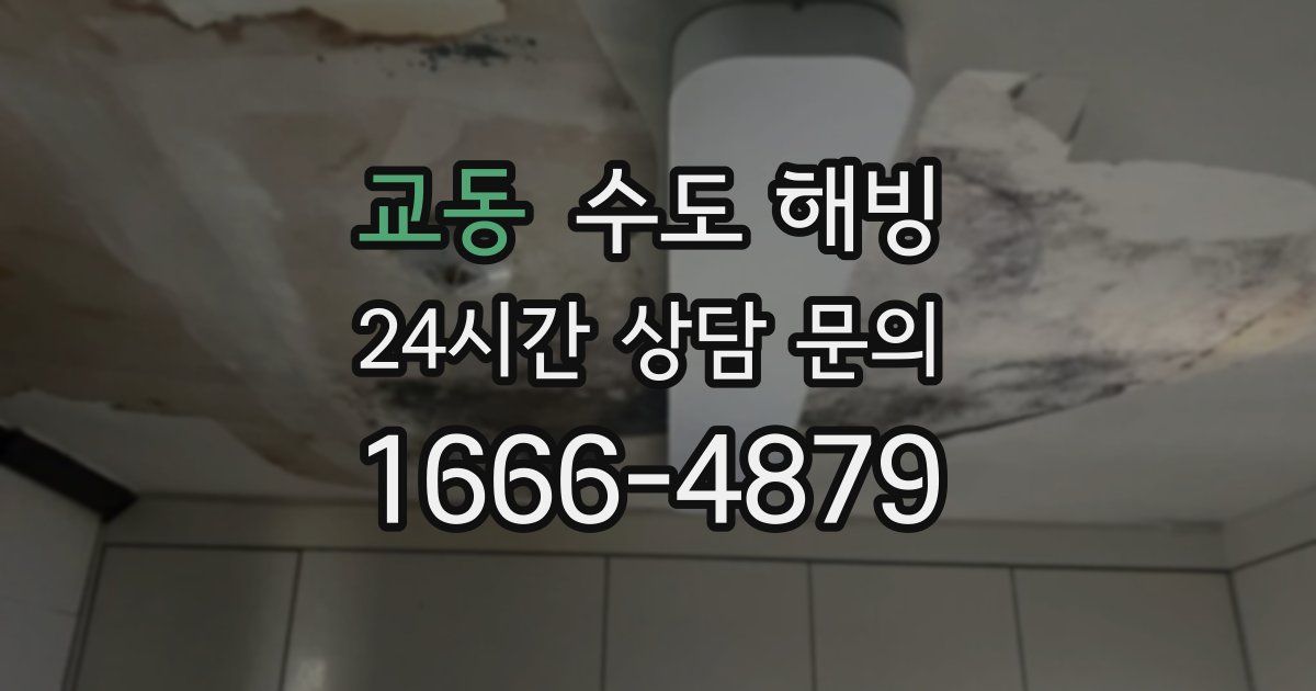 교동 수도 해빙