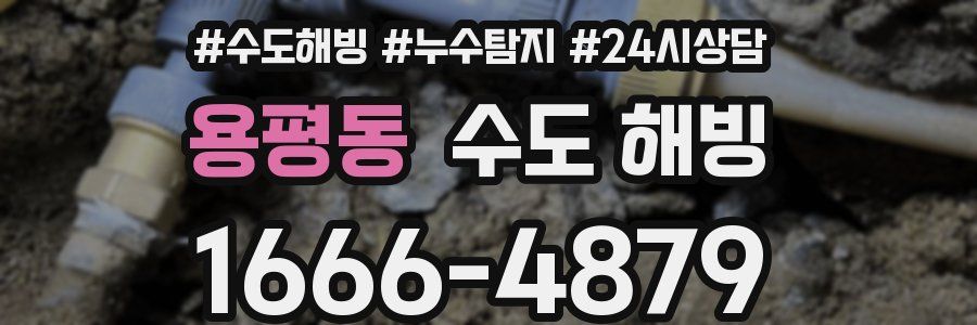 용평동 수도 해빙