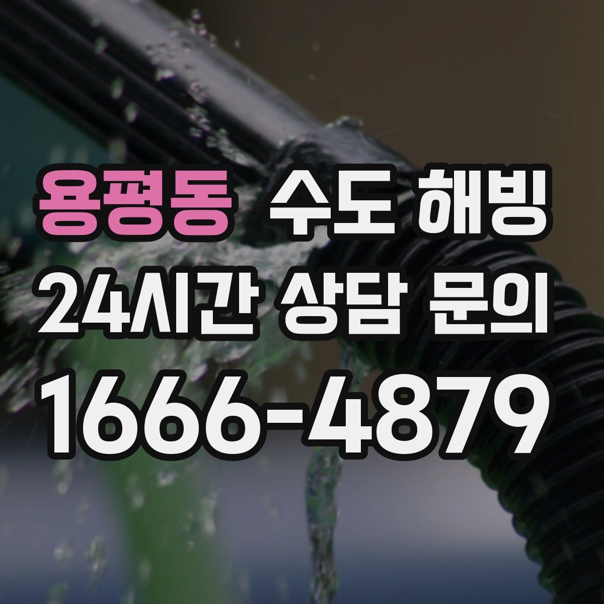 용평동 수도 해빙