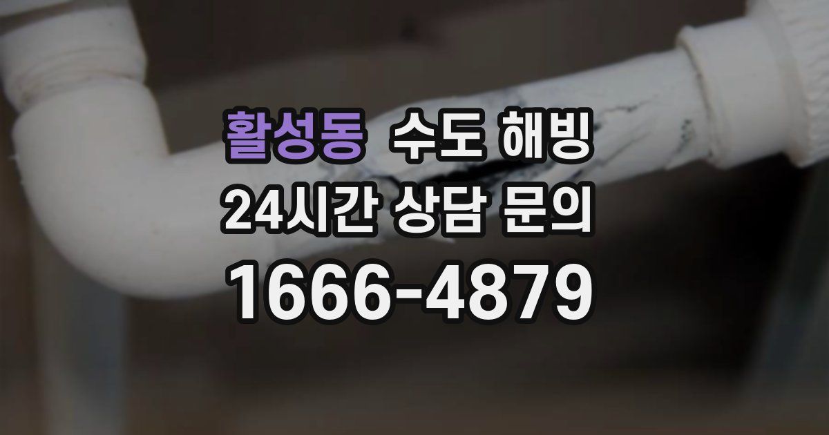 활성동 수도 해빙