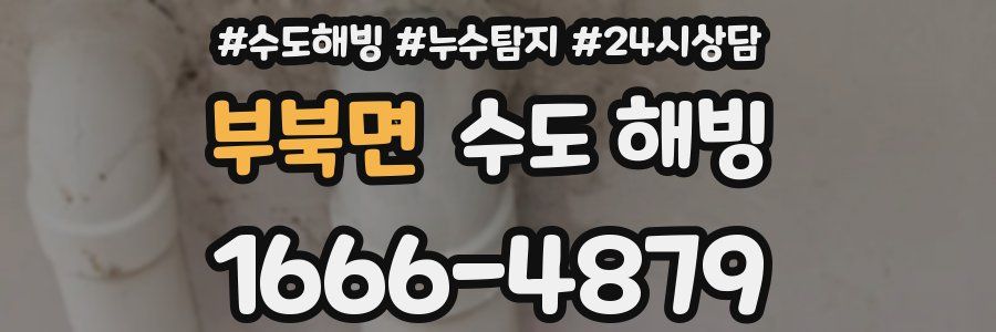 부북면 수도 해빙