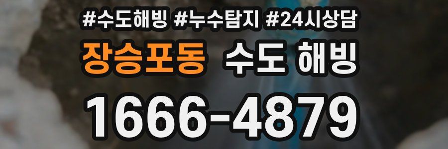 장승포동 수도 해빙