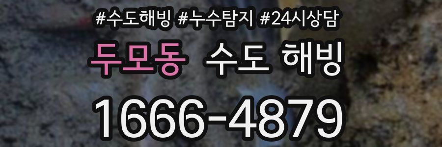 두모동 수도 해빙