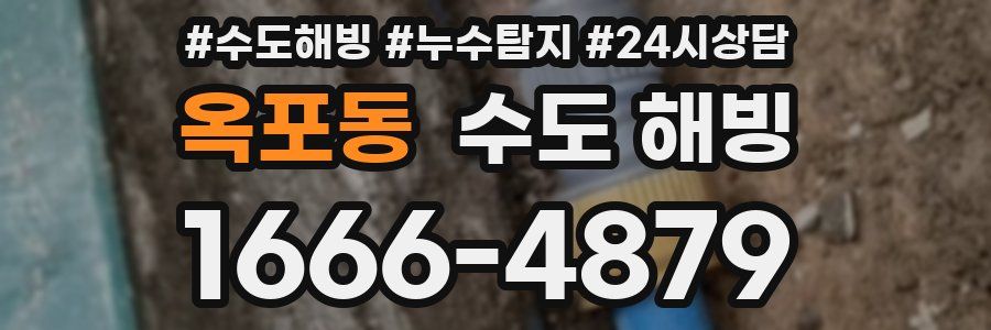 옥포동 수도 해빙