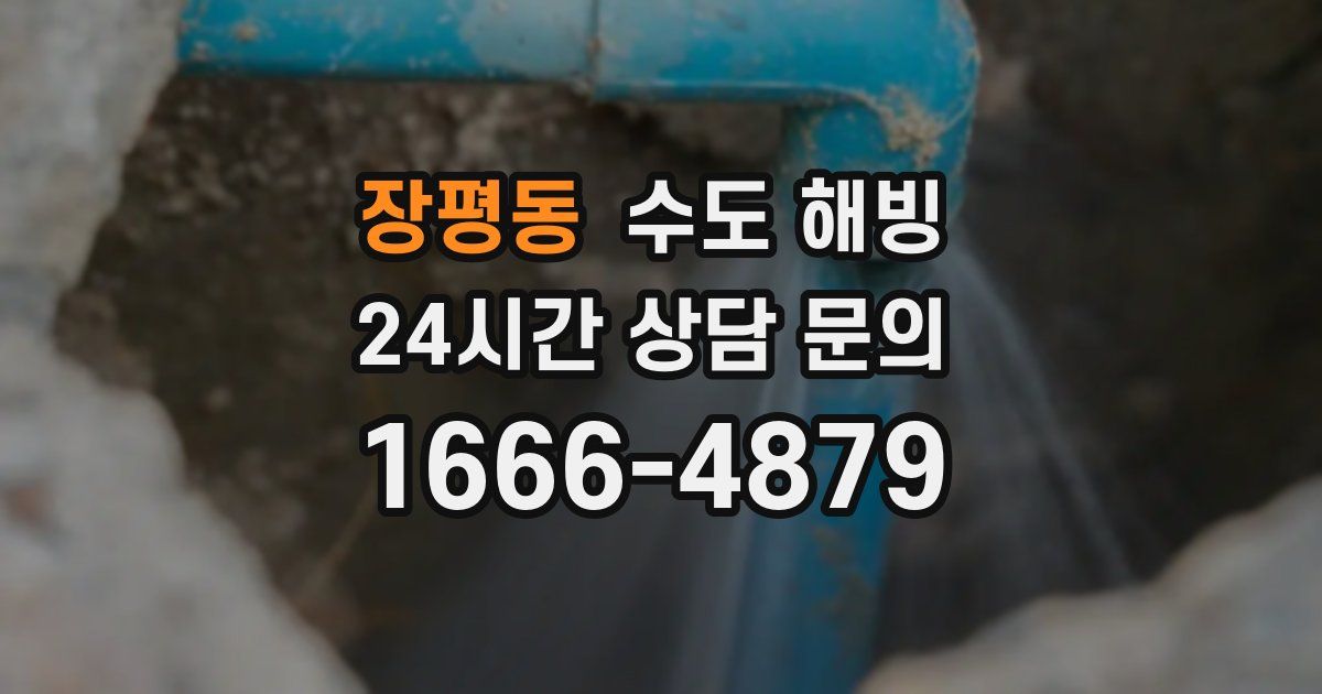 장평동 수도 해빙