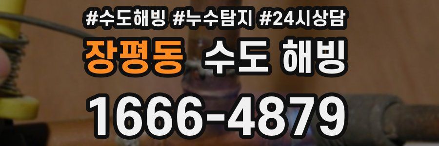 장평동 수도 해빙