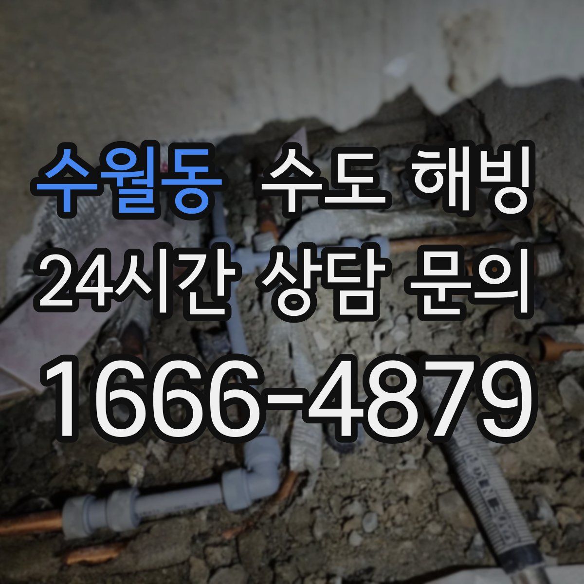 수월동 수도 해빙