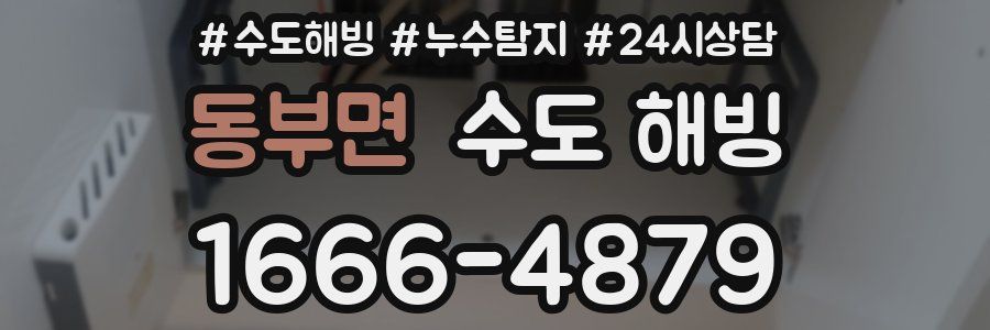 동부면 수도 해빙