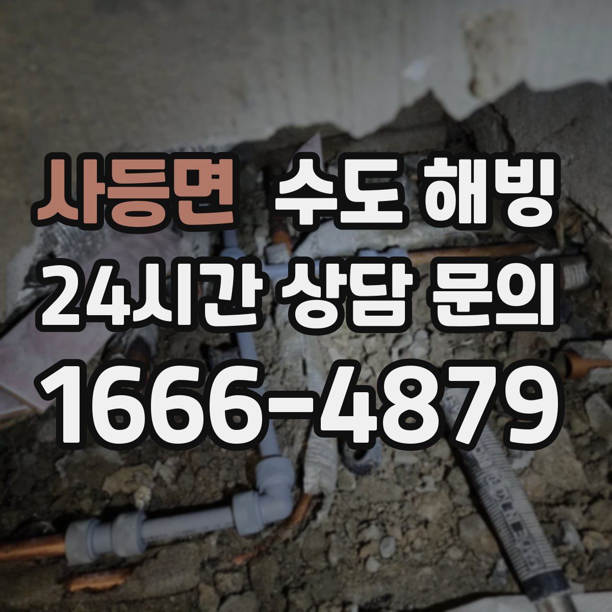 사등면 수도 해빙