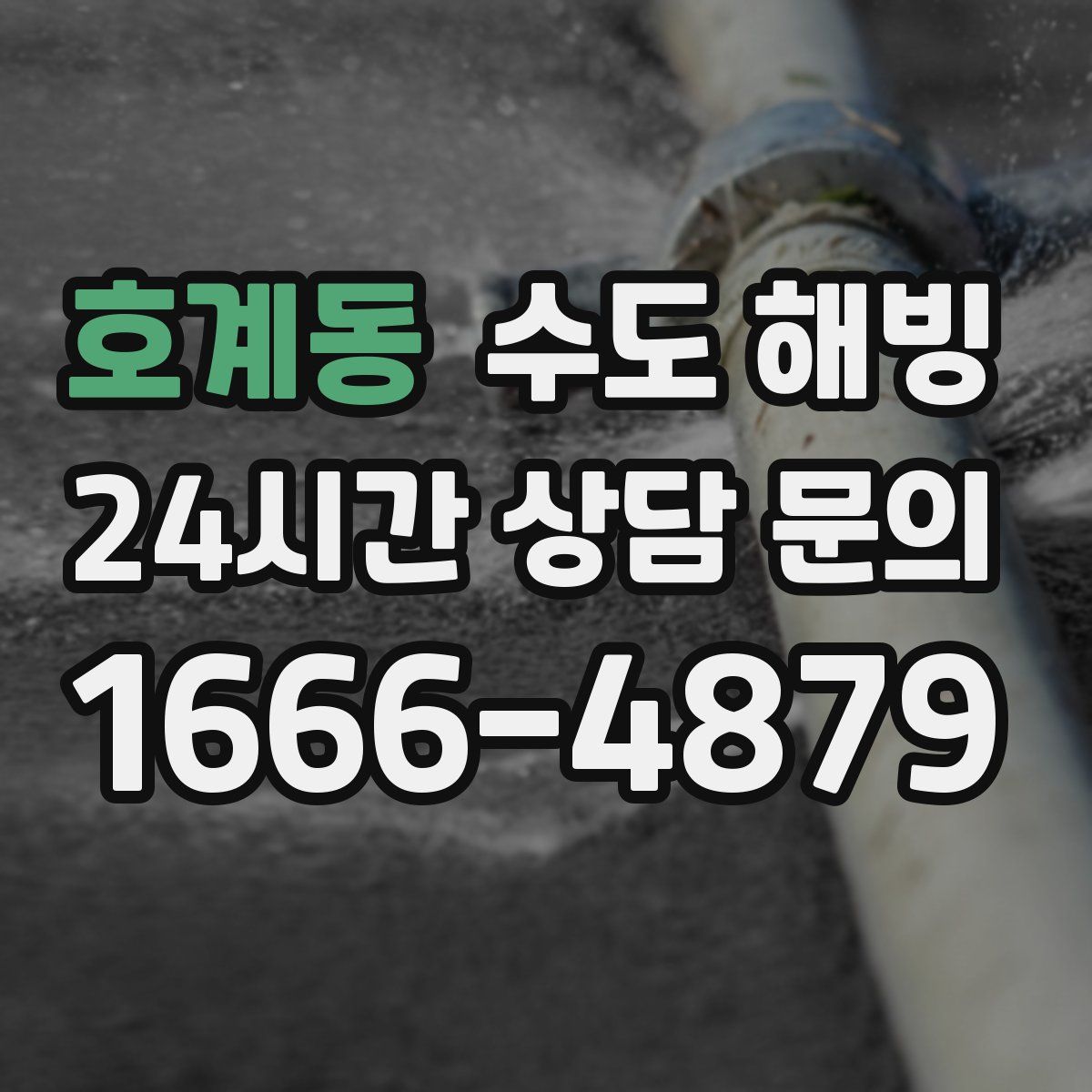 호계동 수도 해빙