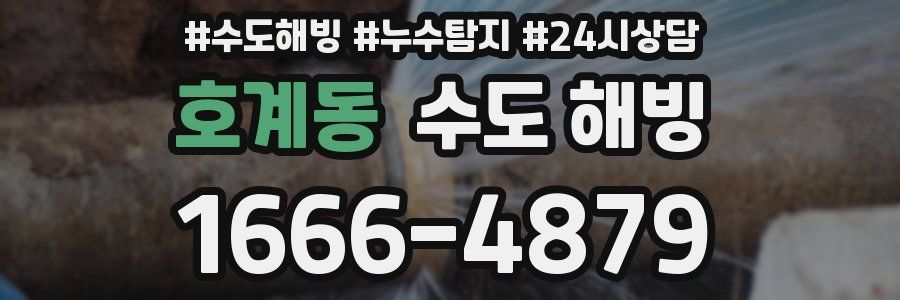 호계동 수도 해빙