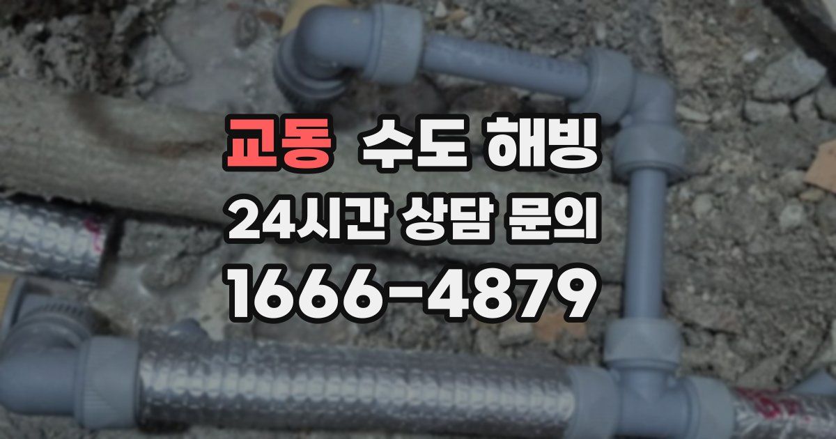 교동 수도 해빙