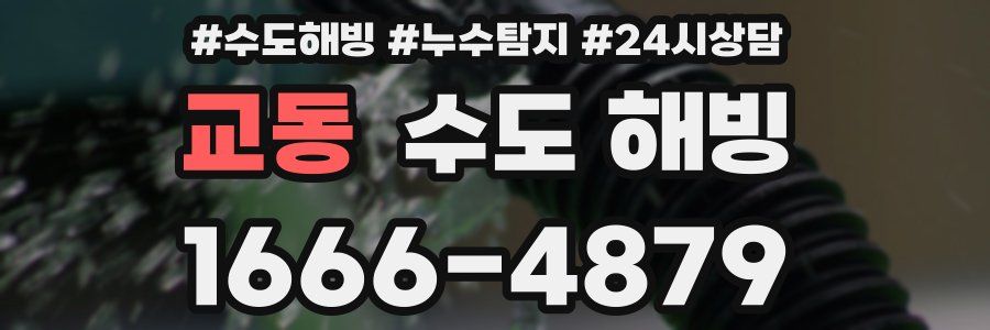 교동 수도 해빙