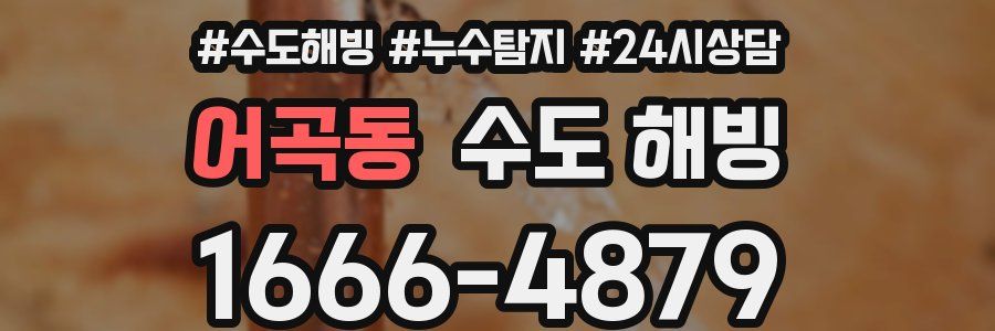 어곡동 수도 해빙