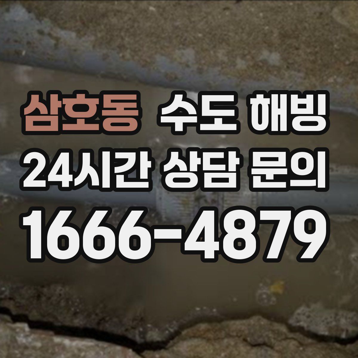 삼호동 수도 해빙