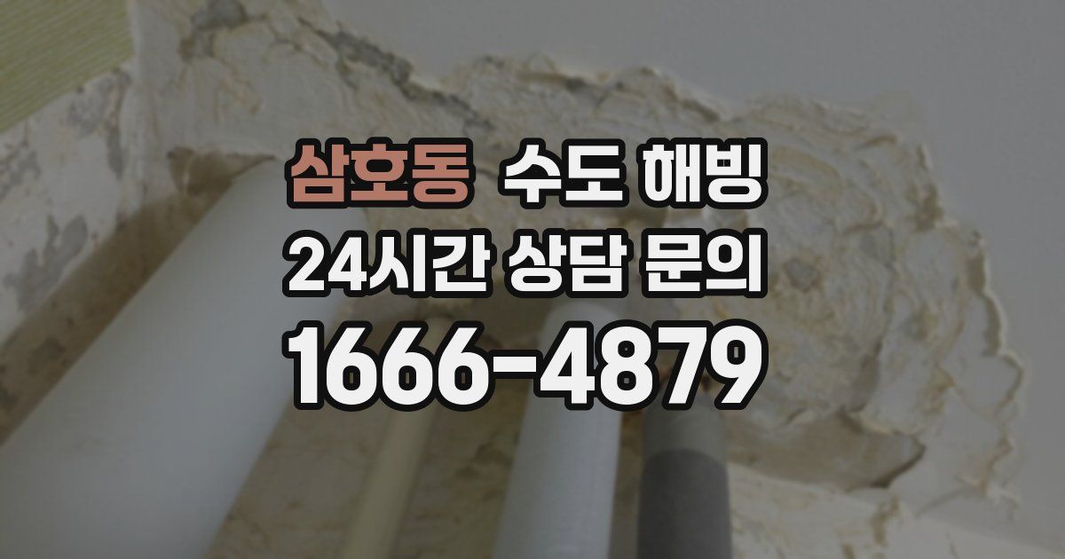 삼호동 수도 해빙