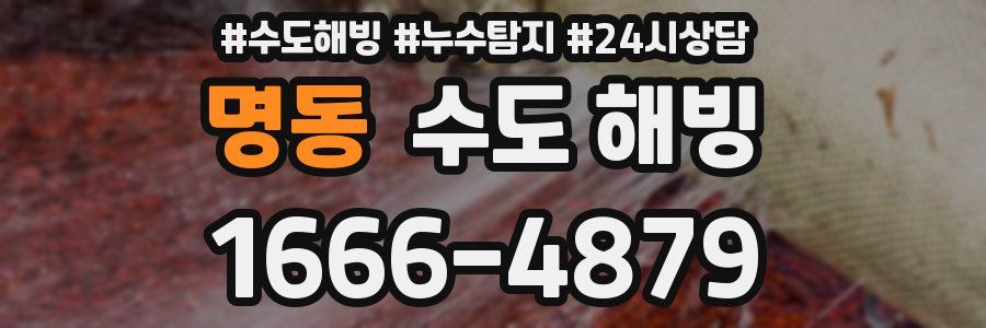 명동 수도 해빙