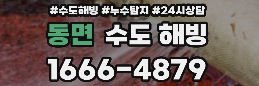 동면 수도 해빙