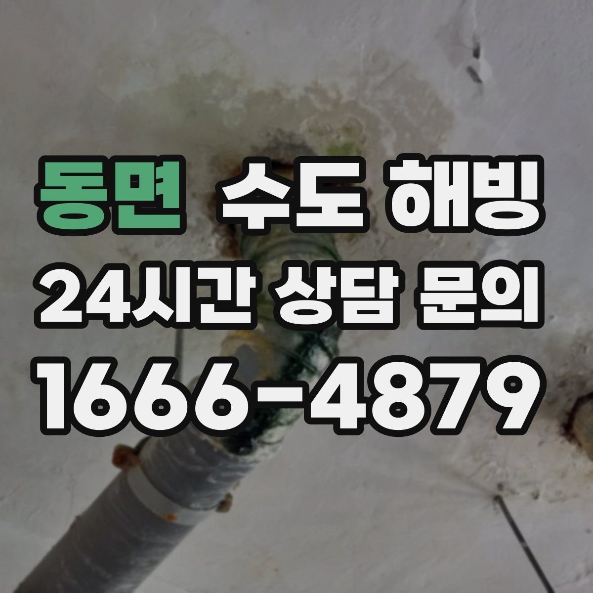 동면 수도 해빙