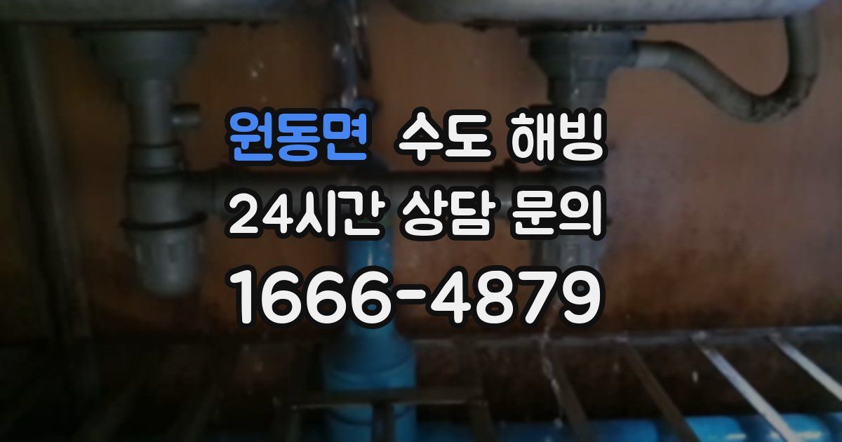 원동면 수도 해빙