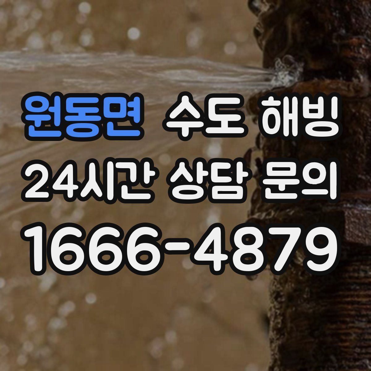 원동면 수도 해빙