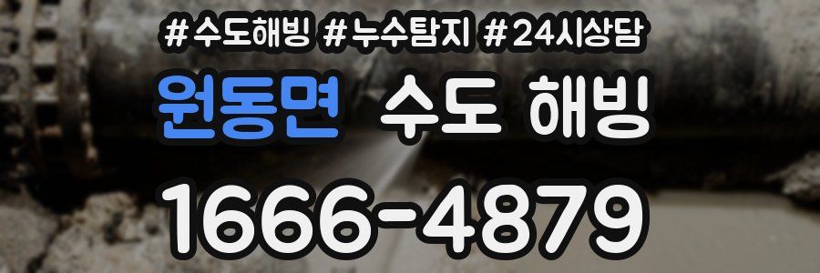 원동면 수도 해빙