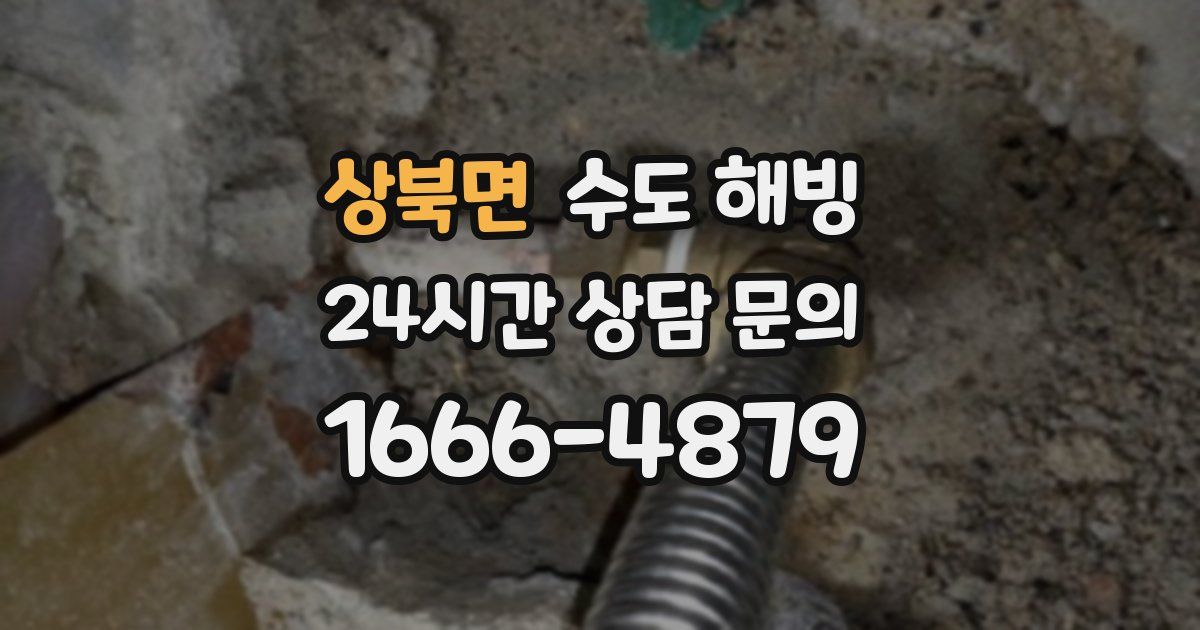 상북면 수도 해빙