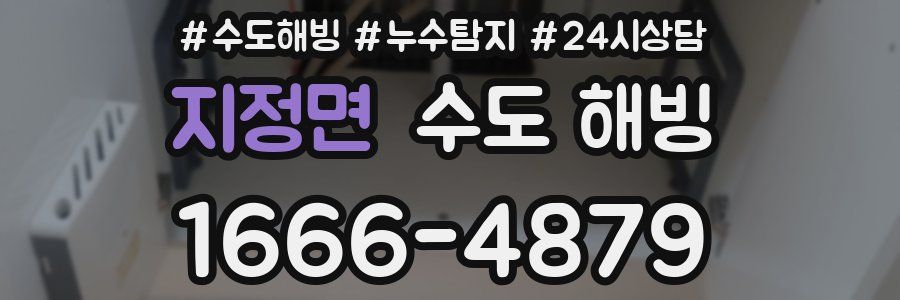 지정면 수도 해빙