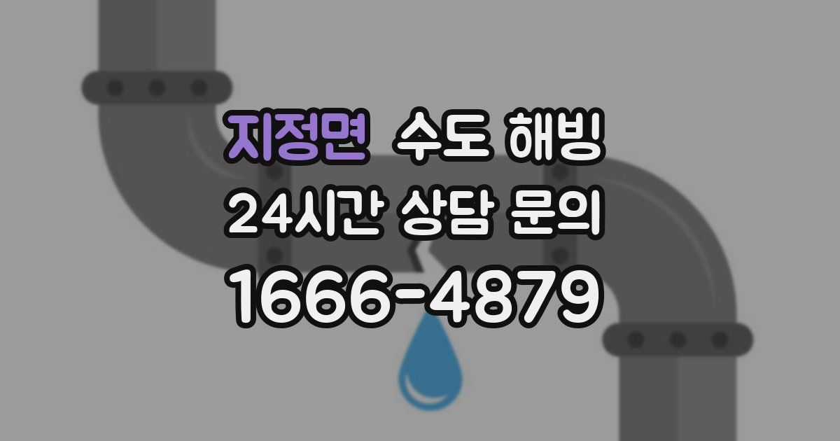 지정면 수도 해빙