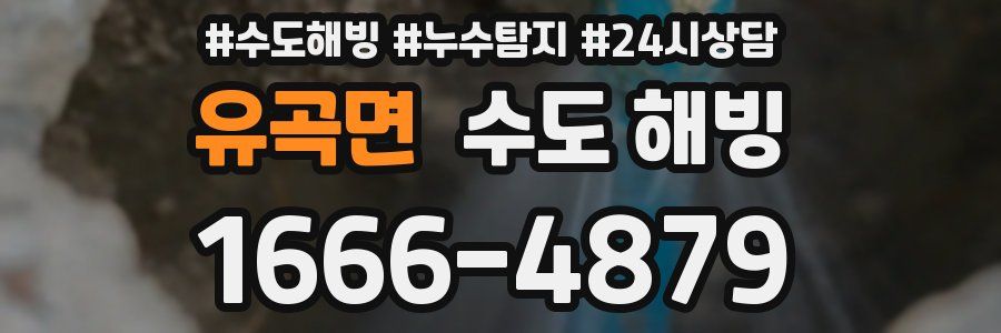 유곡면 수도 해빙
