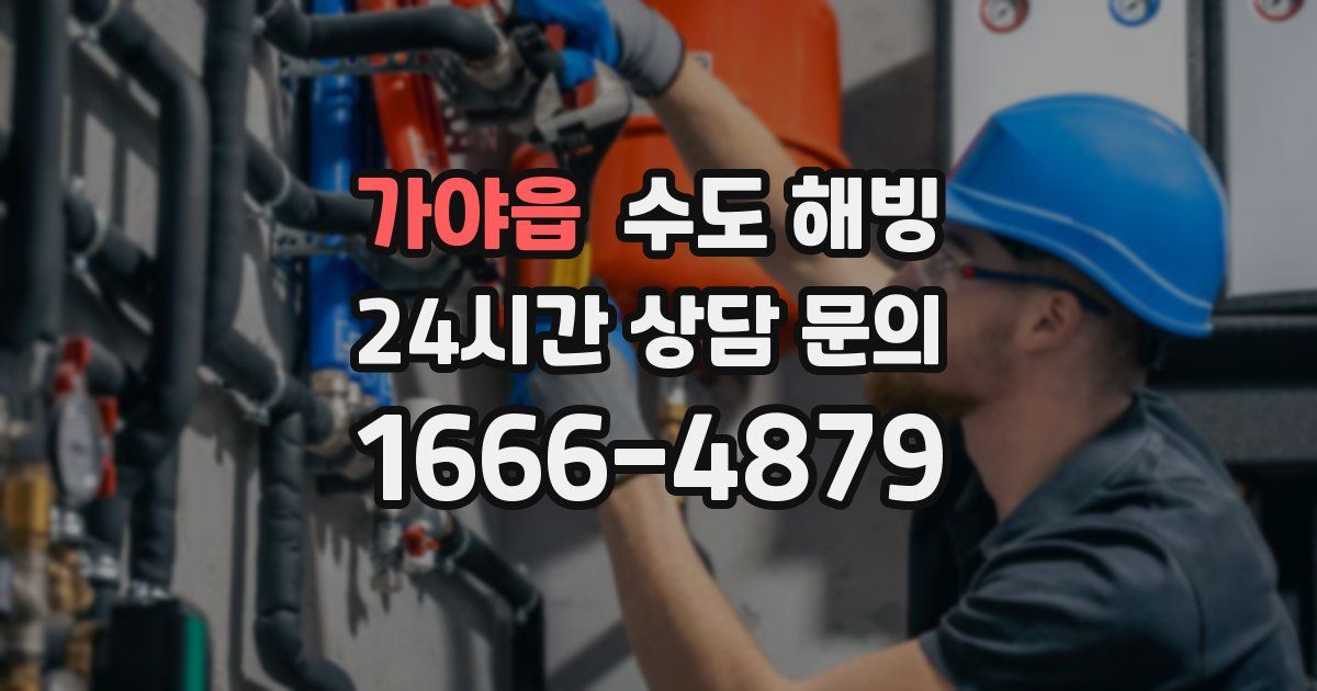 가야읍 수도 해빙