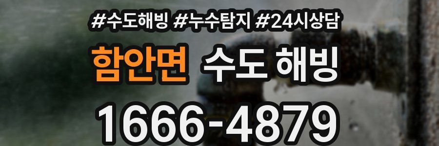 함안면 수도 해빙