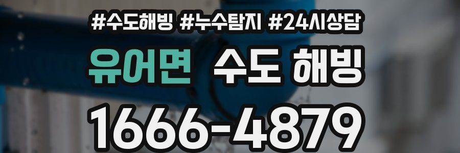 유어면 수도 해빙