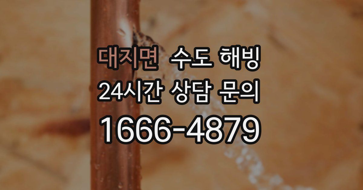 대지면 수도 해빙