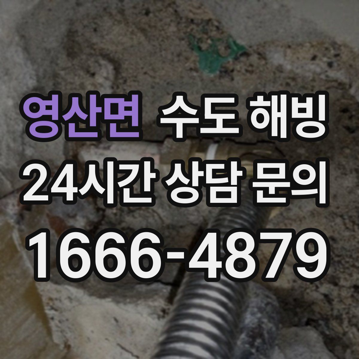 영산면 수도 해빙