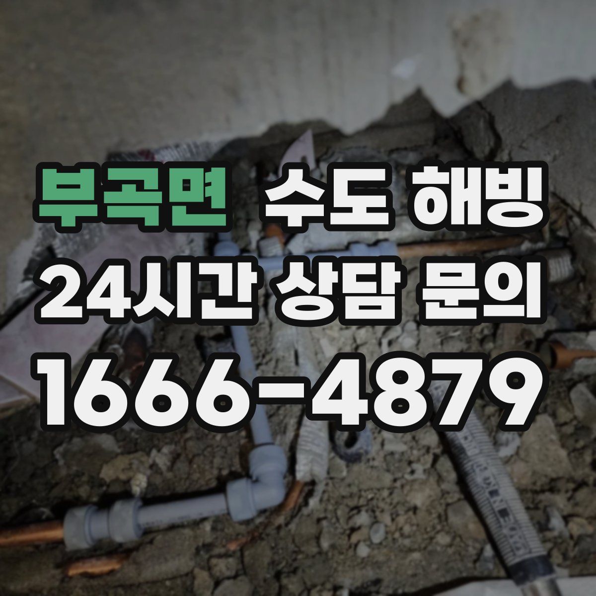 부곡면 수도 해빙