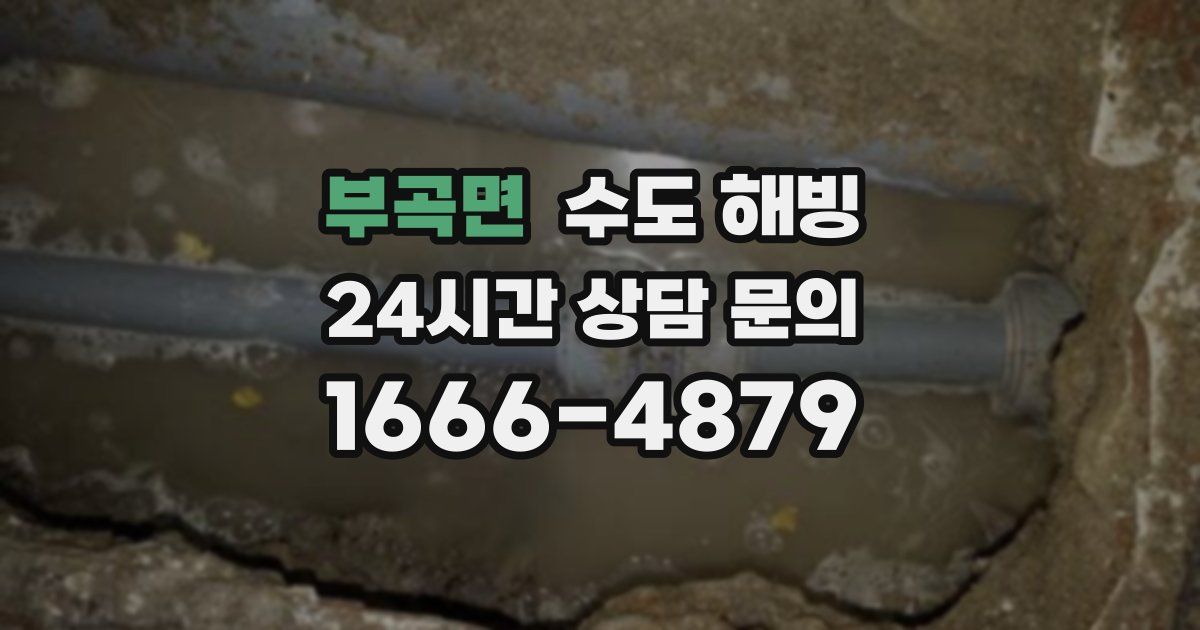 부곡면 수도 해빙