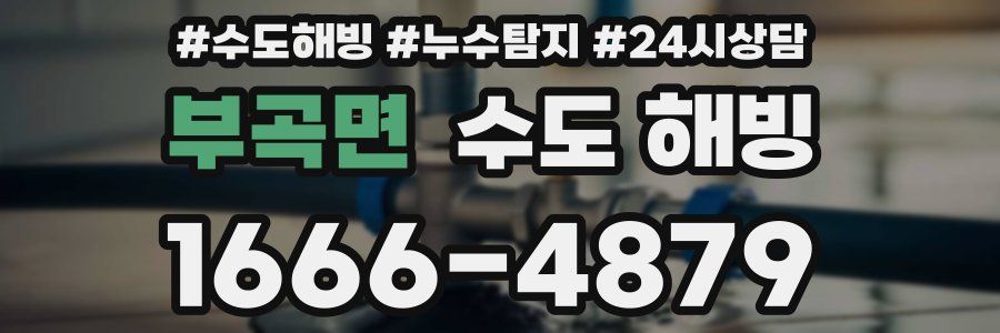 부곡면 수도 해빙