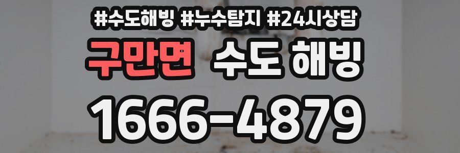 구만면 수도 해빙