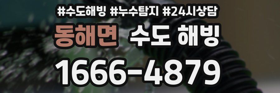 동해면 수도 해빙