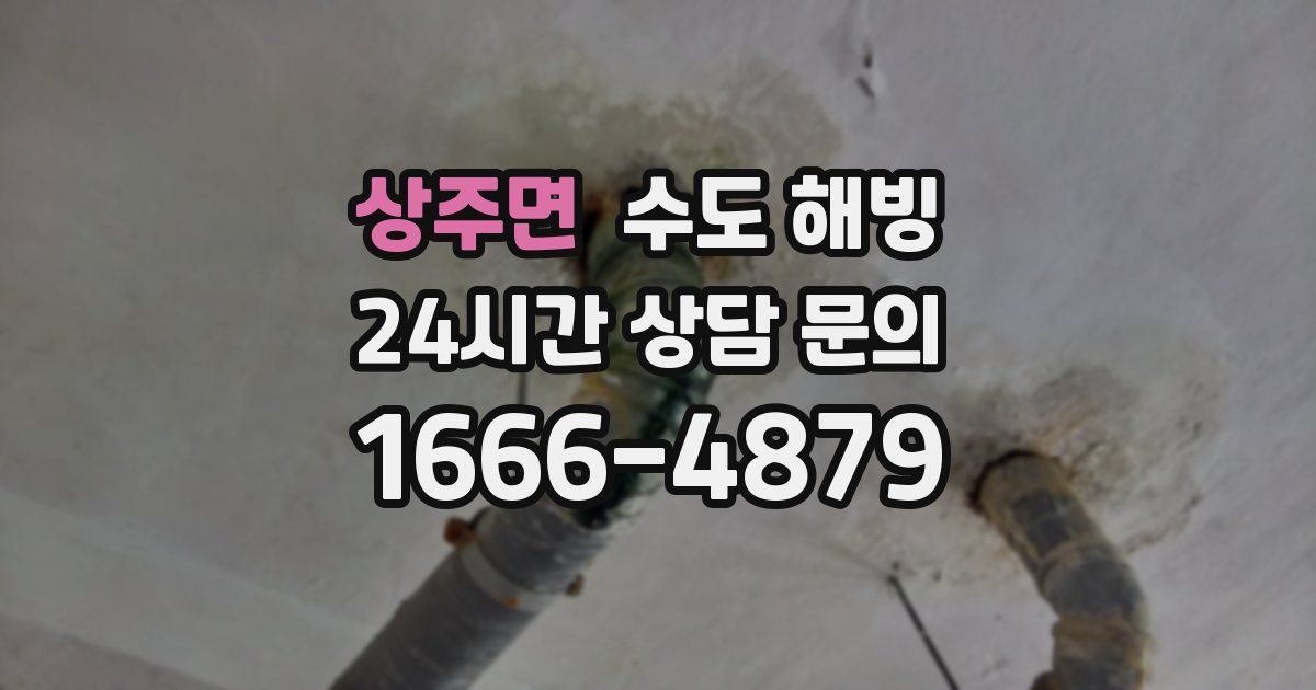 상주면 수도 해빙