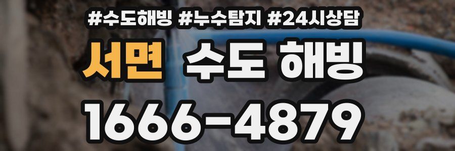 서면 수도 해빙
