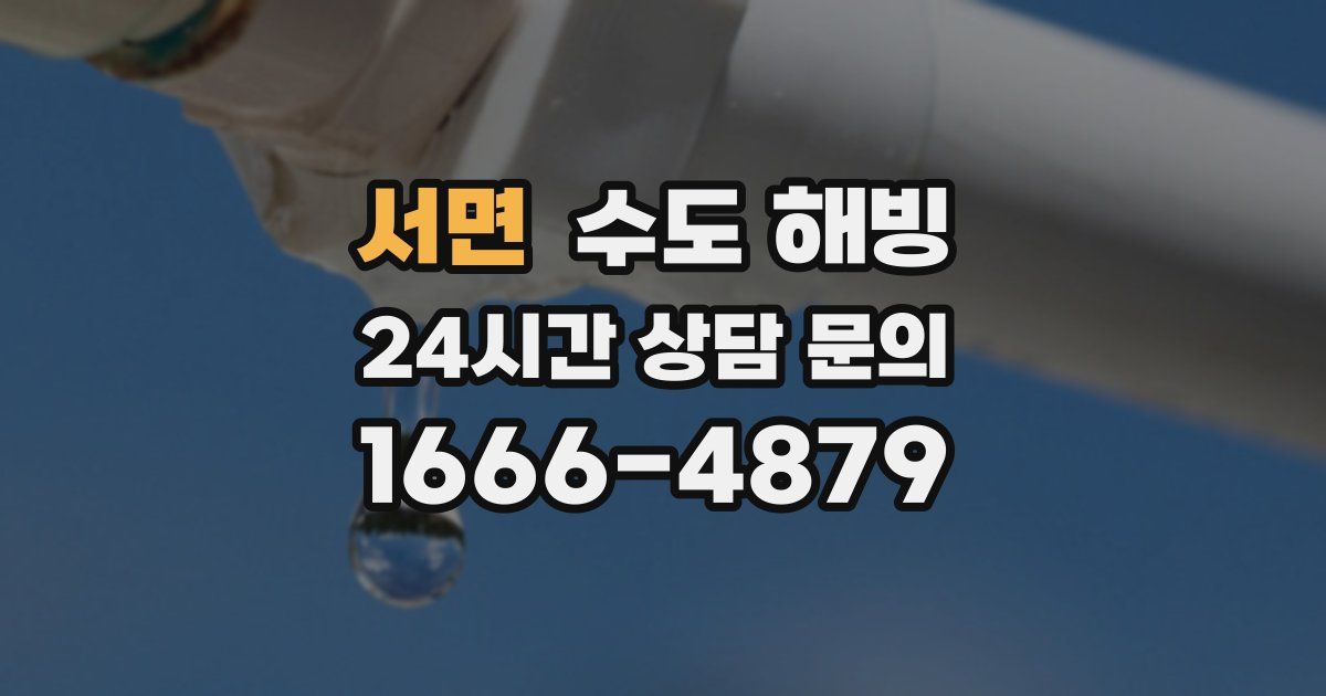 서면 수도 해빙